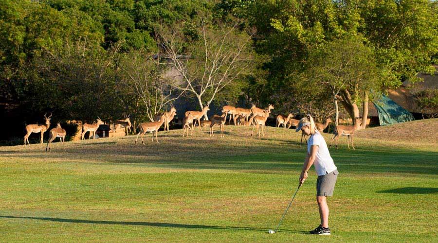 Kruger Park Lodge Hazyview Zewnętrze zdjęcie